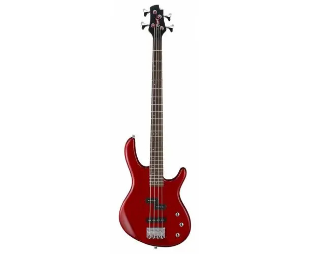 ACTION BASS PLUS ACT4PTR ROUGE TRANSLUCIDE Haute Qualité