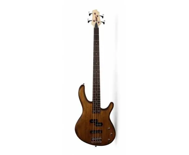 Retour Gratuit ACTION BASS PLUS ACT4PJ WALNUT