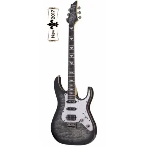 Petit Prix BANSHEE EXTREME 6 HARDTAIL CHARCOAL BURST