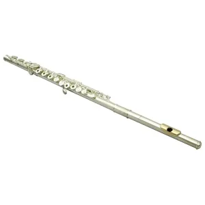 Meilleure Vente PEARL F665R QUANTZ FORZA FLUTE TRAVERSIERE - Tête argent massif