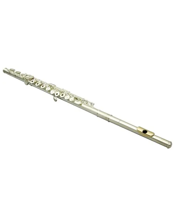 Meilleure Vente PEARL F665R QUANTZ FORZA FLUTE TRAVERSIERE - Tête argent massif