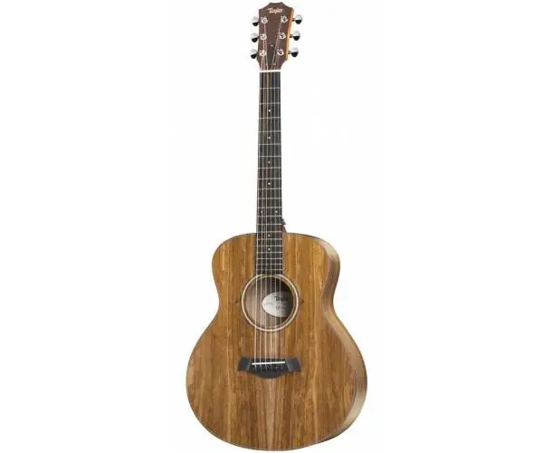 Offre Limitée GS MINI E KOA