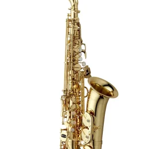 Prix Promo YANAGISAWA A-WO1 SAXOPHONE ALTO VERNI avec étui et bec