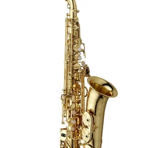 YANAGISAWA A-WO10 SAXOPHONE ALTO VERNI avec étui et bec Offre Du Jour