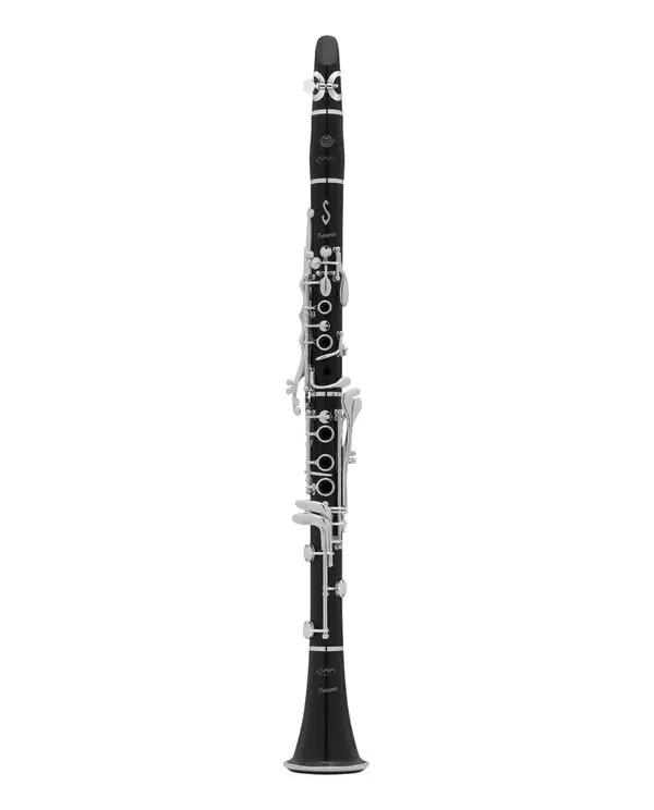 Commander Maintenant SELMER PRESENCE EVOLUTION CLARINETTE SIB avec etui/bec