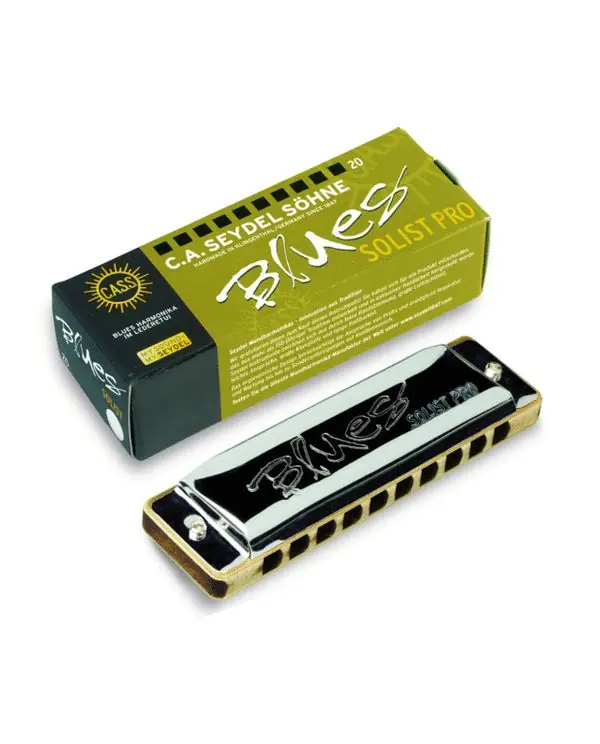 Dernier Modèle SEYDEL BLUES SOLIST PRO 11301 HARMONICA 10 TROUS C