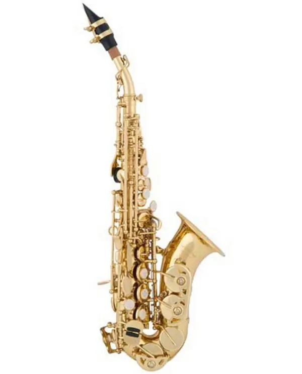 Meilleur Prix ARNOLDS & SONS ASS-101C SAXOPHONE SOPRANO COURBE AVEC étui/bec