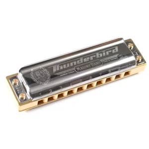 HOHNER THUNDERBIRD HARMONICA 10 TROUS LOW A (La) Super Prix