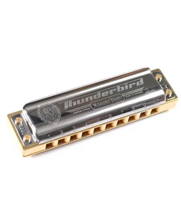HOHNER THUNDERBIRD HARMONICA 10 TROUS LOW A (La) Super Prix
