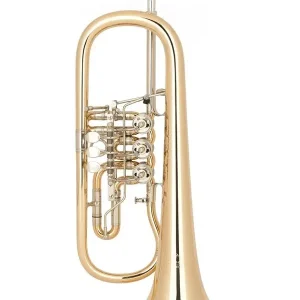 Commander Vite MIRAPHONE 25 1100A100 BUGLE A PALETTE VERNI - Avec housse