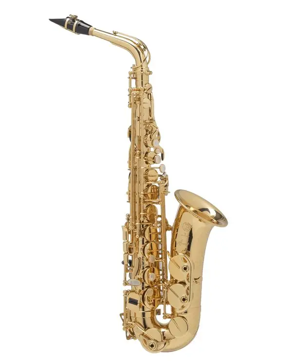 SELMER AXOS SAXOPHONE ALTO VERNI avec etui/bec Quantité Limitée