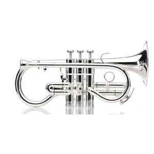 Meilleure Vente BESSON BE924G SOVEREIGN CORNET SOPRANO MIB ARGENTE AVEC ETUI