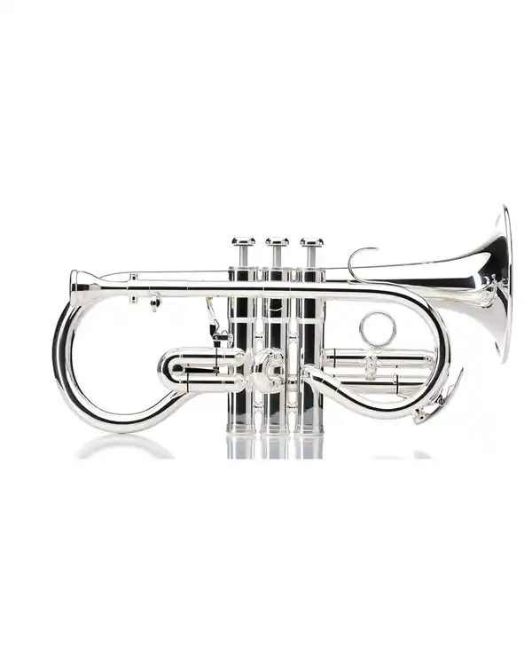 Meilleure Vente BESSON BE924G SOVEREIGN CORNET SOPRANO MIB ARGENTE AVEC ETUI