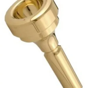 Super Prix DENIS WICK 4881 2BW EMBOUCHURE CORNET aurifiée