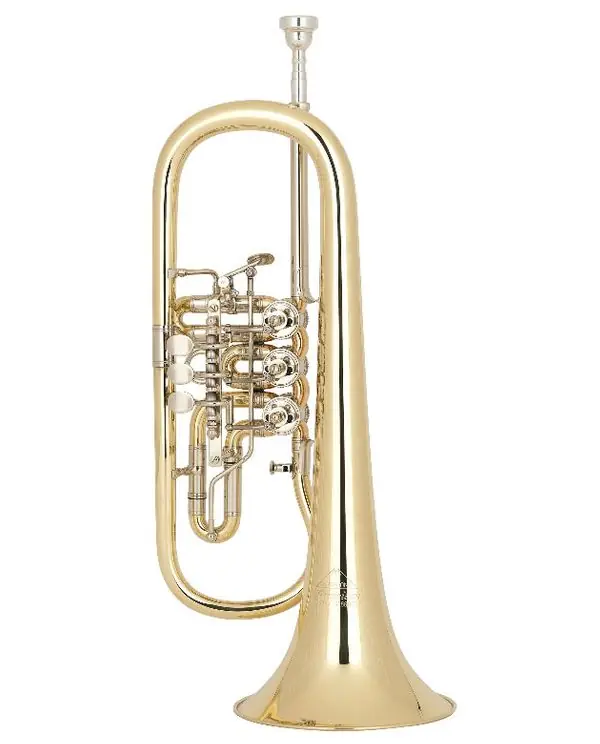 MIRAPHONE 24R 000700A BUGLE A PALETTE VERNI Réduction