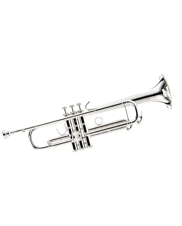 Bon Marché BACH VBS1-S TROMPETTE SIB ARGENTEE avec étui sac à dos