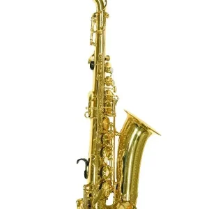 Seulement Aujourd'hui TREVOR JAMES ALPHA SAX SAXOPHONE ALTO "PETITE MAIN" avec étui