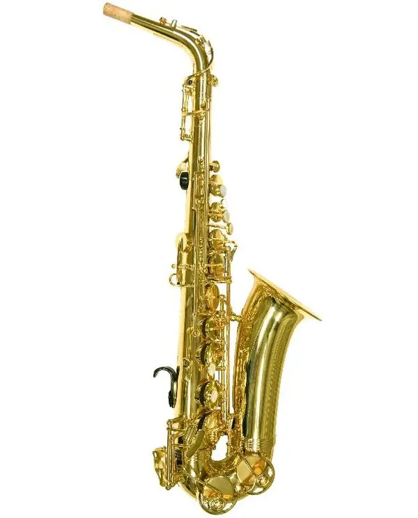 Seulement Aujourd'hui TREVOR JAMES ALPHA SAX SAXOPHONE ALTO "PETITE MAIN" avec étui
