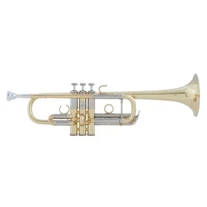 BACH AC190 ARTISAN TROMPETTE UT VERNIE avec étui Marque