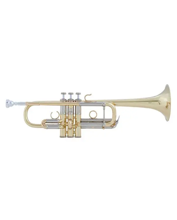 BACH AC190 ARTISAN TROMPETTE UT VERNIE avec étui Marque