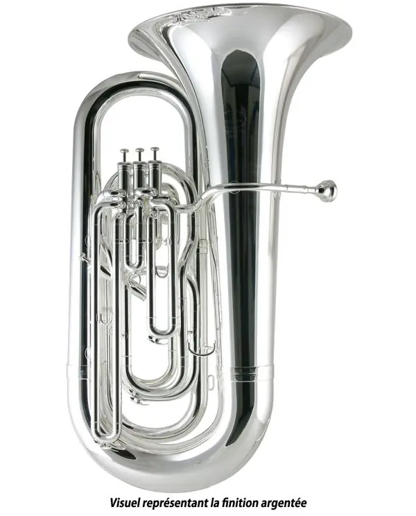 Achetez Aujourd'hui BESSON BE794 TUBA SIB 4 PISTONS VERNI + ETUI