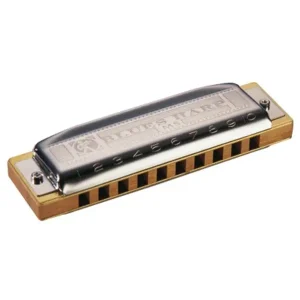 Dernier Modèle HOHNER MS BLUES HARP HARMONICA 10 TROUS Bb