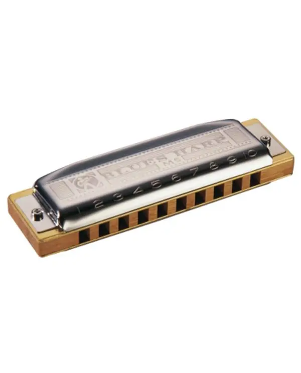 Dernier Modèle HOHNER MS BLUES HARP HARMONICA 10 TROUS Bb