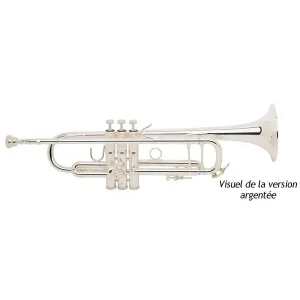 BACH STRADIVARIUS 180ML 37/25 TROMPETTE SIB VERNIE avec étui Vente Flash