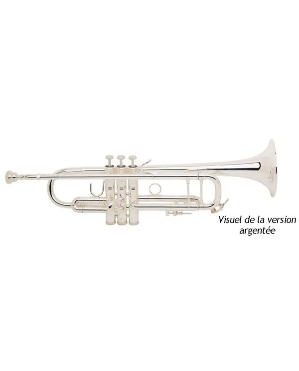BACH STRADIVARIUS 180ML 37/25 TROMPETTE SIB VERNIE avec étui Vente Flash