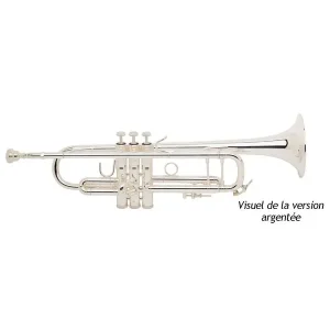BACH STRADIVARIUS 180ML 43/25 TROMPETTE SIB ARGENTEE avec étui Meilleur Choix