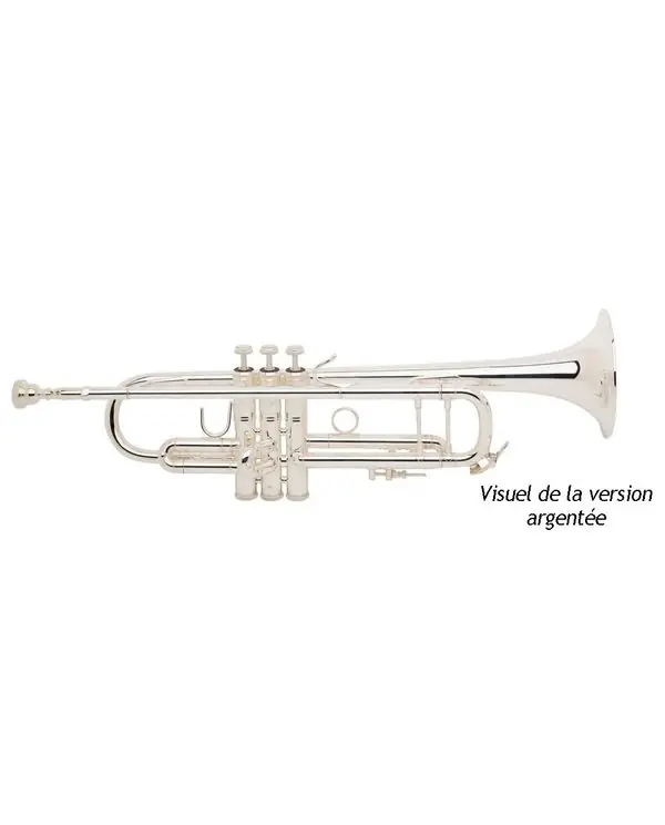 BACH STRADIVARIUS 180ML 43/25 TROMPETTE SIB ARGENTEE avec étui Meilleur Choix