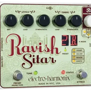 RAVISH SITAR Meilleur Choix