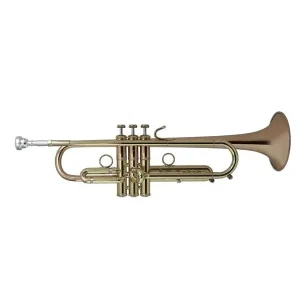 Offre Spéciale BACH STRADIVARIUS LT190-1B TROMPETTE SIB VERNIE avec étui