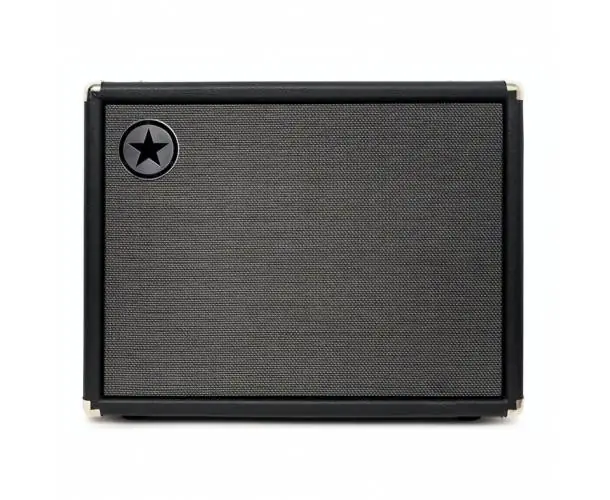 Dernier Modèle UNITY U210C 2X10 CABINET