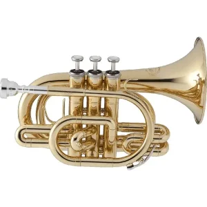Prix Réduit JUPITER JTR710Q TROMPETTE DE POCHE VERNIE - Avec étui et embouchure