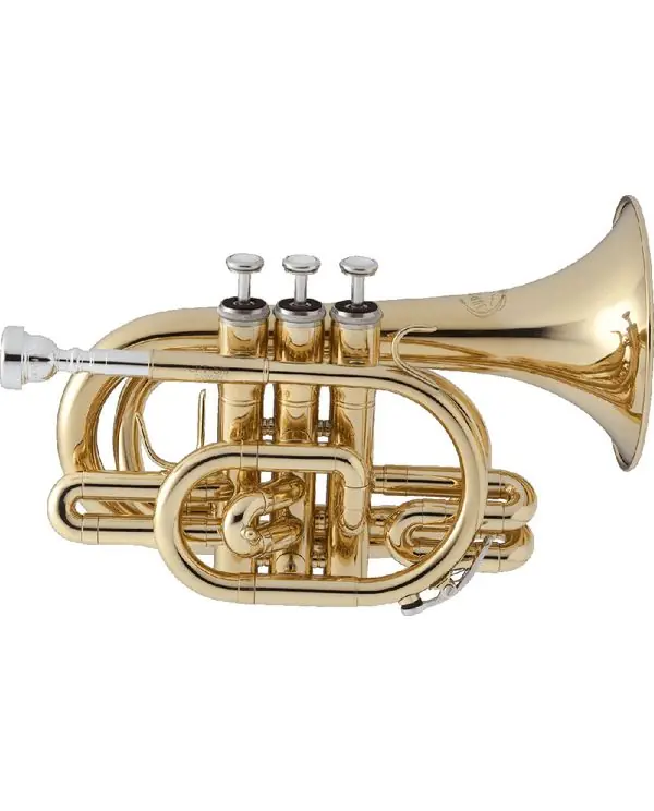 Prix Réduit JUPITER JTR710Q TROMPETTE DE POCHE VERNIE - Avec étui et embouchure
