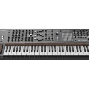 SYNTHETISEUR ANALOGIQUE POLYBRUTE Acheter En Ligne