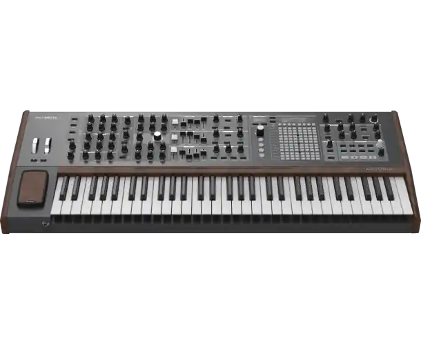 SYNTHETISEUR ANALOGIQUE POLYBRUTE Acheter En Ligne