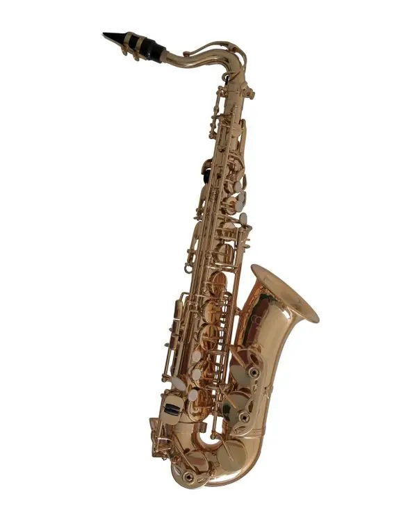 Acheter En Ligne CONN AS655D SAXOPHONE ALTO POUR ENFANT avec étui & bec