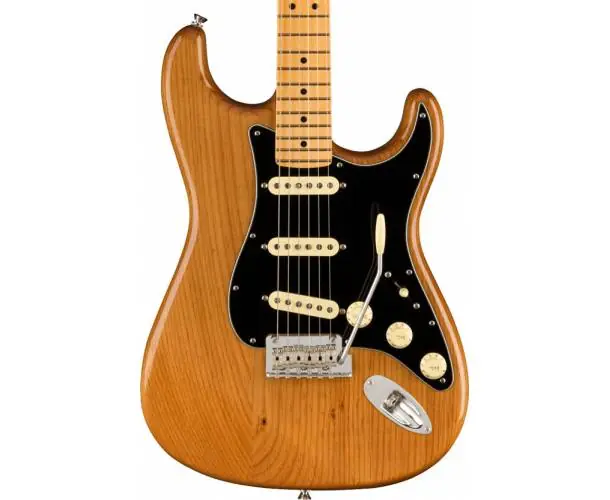 Achat Immédiat AMERICAN PROFESSIONAL II STRATOCASTER MN ROASTED PINE