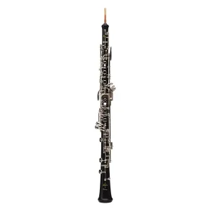 BUFFET CRAMPON PRODIGE HAUTBOIS D‘ETUDE AVEC ETUI Bon Marché