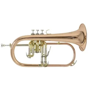 Paiement Sécurisé BACH FH-501 BUGLE VERNI avec étui & embouchure