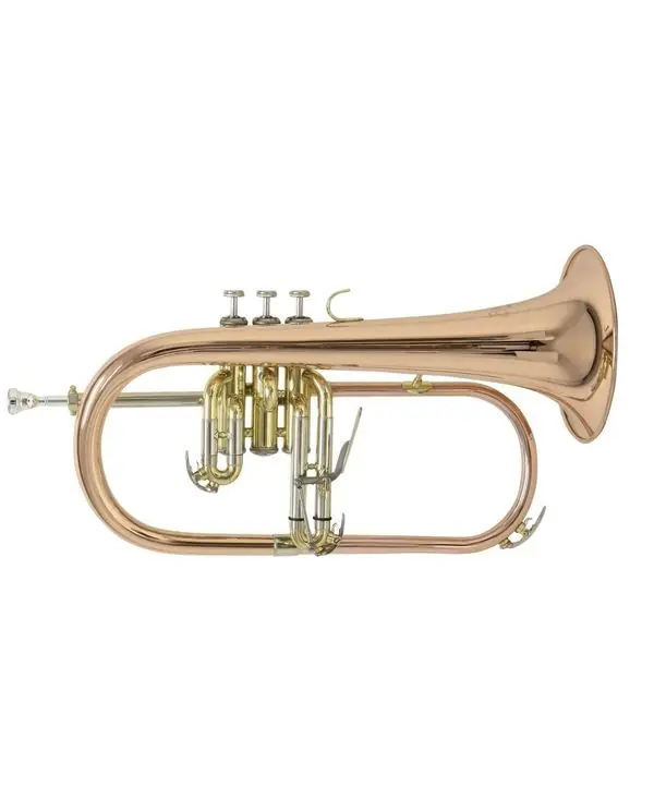 Paiement Sécurisé BACH FH-501 BUGLE VERNI avec étui & embouchure