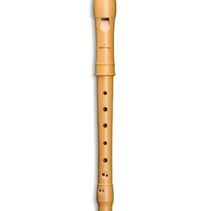 MOLLENHAUER CANTA 2106 FLUTE A BEC SOPRANO POIRIER Offre Spéciale