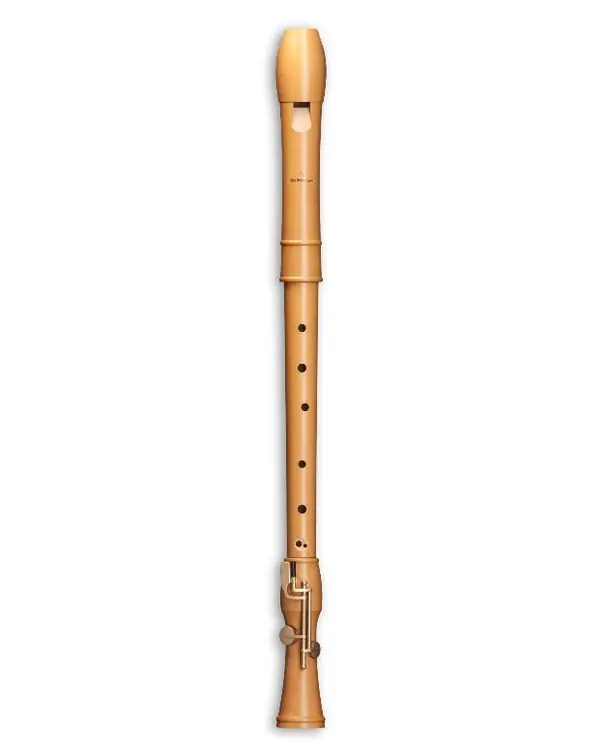 MOLLENHAUER CANTA 2446 FLUTE A BEC TENOR POIRIER (avec clés) Authentique