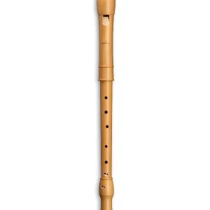 MOLLENHAUER CANTA 2406 FLUTE A BEC TENOR POIRIER (sans clés) Petit Prix