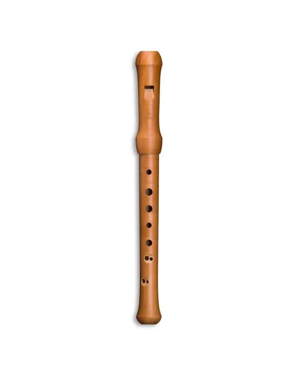 MOLLENHAUER "WALDORF-EDITION" 19132 FLUTE A BEC SOPRANO 432Hz POIRIER Bon Marché