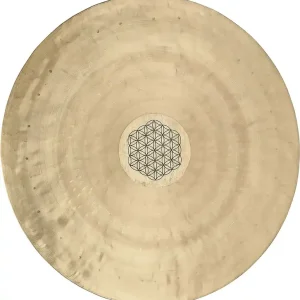 MEINL SONIC ENERGY Gong 20" Wind - Flower Of Life + Mailloche Must-Have