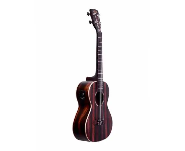 Promotion Saisonnière KA-EBY-TE - STRIPED EBONY