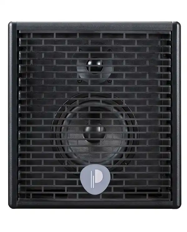 PRODIPE NATURAL 5 AMPLI ACOUSTIQUE 90W RMS Authentique
